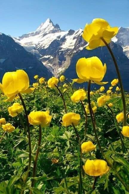 Ubaye.Mexico Apartment Barcelonnette Ngoại thất bức ảnh